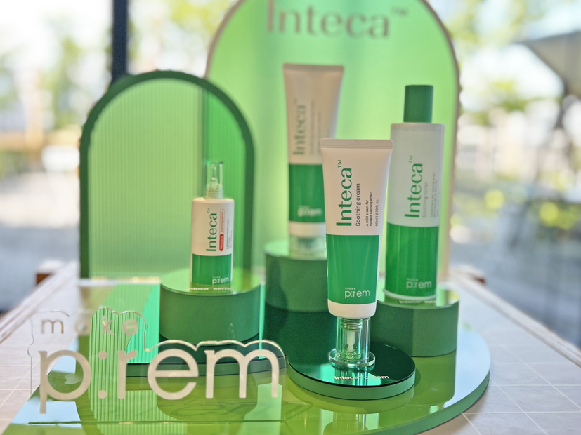 メイクプレム　インテカシリーズ