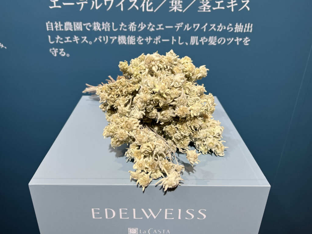 ラ・カスタ エーデルワイス 農園